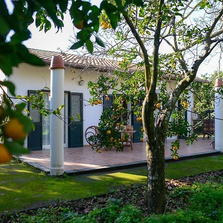 Agriturismo Piccolo Canyon Apartment Piano di Sorrento Ngoại thất bức ảnh