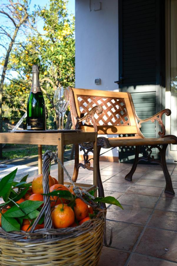 Agriturismo Piccolo Canyon Apartment Piano di Sorrento Ngoại thất bức ảnh