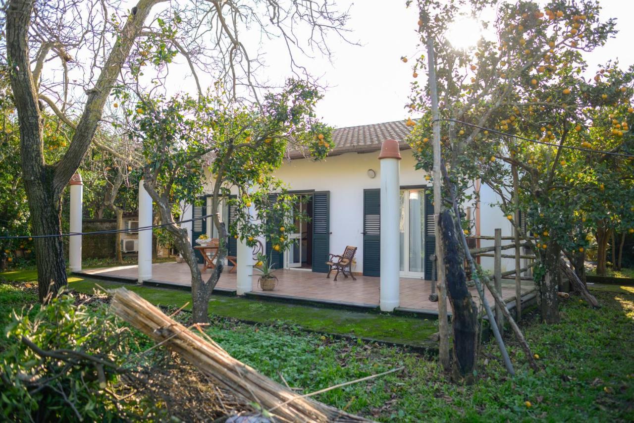 Agriturismo Piccolo Canyon Apartment Piano di Sorrento Ngoại thất bức ảnh