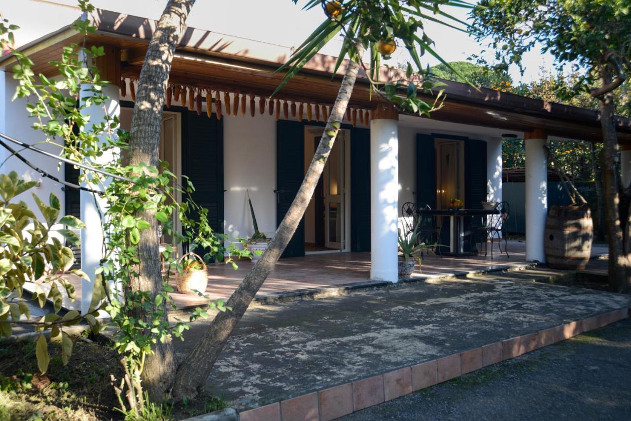 Agriturismo Piccolo Canyon Apartment Piano di Sorrento Ngoại thất bức ảnh