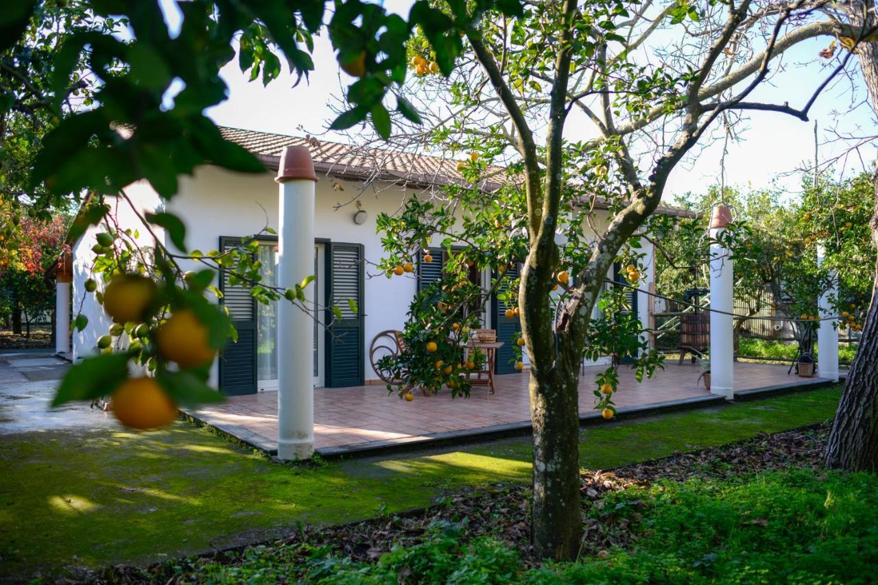 Agriturismo Piccolo Canyon Apartment Piano di Sorrento Ngoại thất bức ảnh